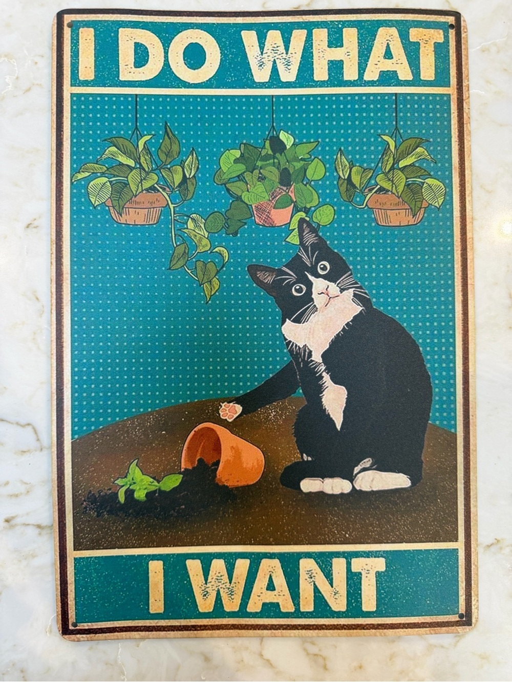 I Do What I Want Black & White Cat Retro Sign - Pets Cat Decor